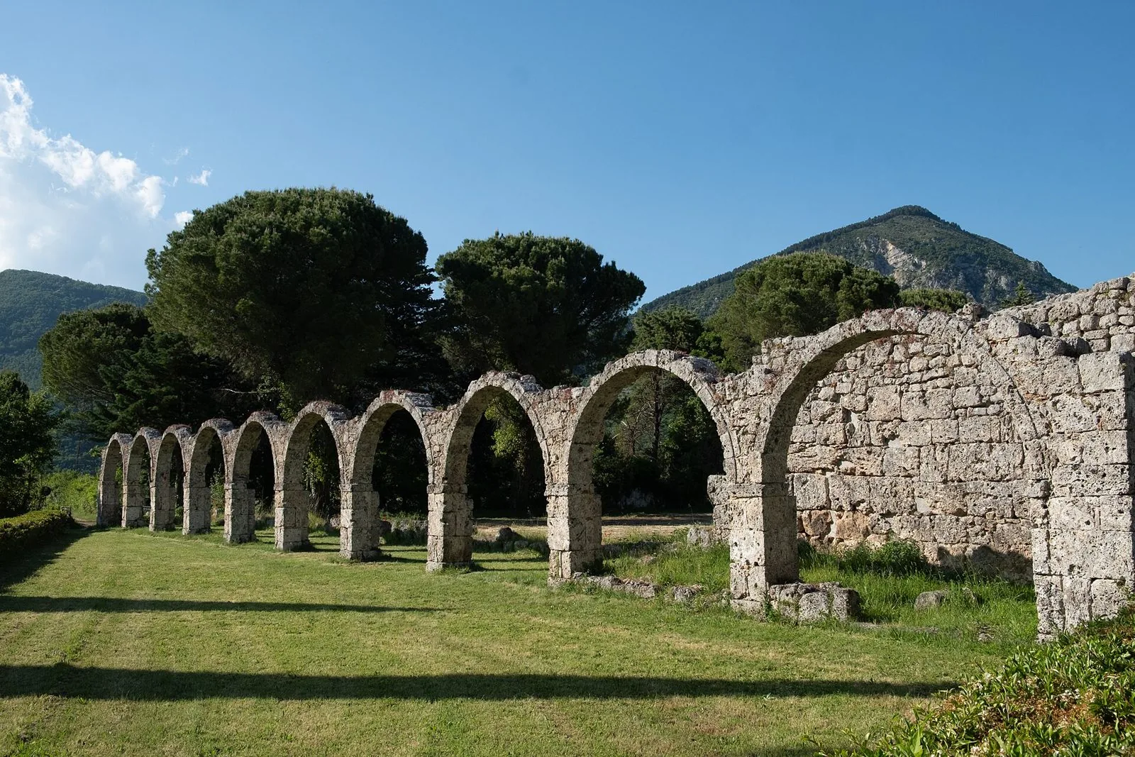 Arcate in pietra dei resti dell'abbazia di San Vincenzo al Volturno su un prato, con pini e montagne sullo sfondo